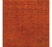 Protek Royal Exterior Paint 25ml - Golden Cedar - Protek Royal Exterior Paint 125ml - Golden Cedar