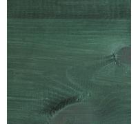 Protek Shed and Fence Stain Dark Green 5 litres