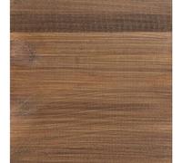 Protek Shed and Fence Stain Golden Brown 5 litres