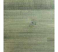 Protek Shed and Fence Stain Light Green 5 litres