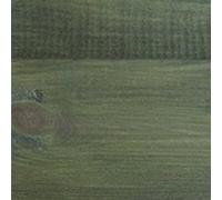 Protek Shed and Fence Stain Moss Green 5 litres