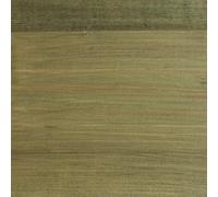 Protek Shed and Fence Stain Pale Green 5 litres