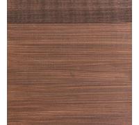 Protek Shed and Fence Stain Russet 5 litres