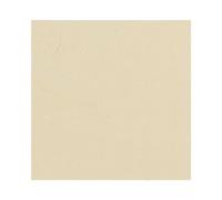 Protek Wood Stain & Protector Parsonage Cream 2.5 Litres