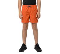 Protest Culture 14´´ Swimming Shorts