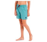 Protest Culture 14´´ Swimming Shorts