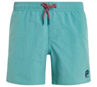 Protest Culture 14´´ Swimming Shorts Green 164 cm Boy