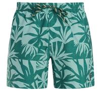 Protest Panther Swimming Shorts Green,Blue XL Men