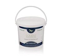 Protexin Equine Premium Gut Balancer 300 g