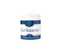 Protexin Equine Premium Gut Balancer 400 g