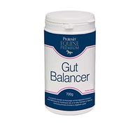 Protexin Equine Premium Gut Balancer 600 g