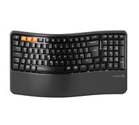 ProtoArc EK02 Ergonomic Wireless Keyboard, Wave Keys, Black | Bluetooth Keyboard with Memory Foam Palm Rest, Dual Bluetooth & 2.4G USB, Multi-Device, USB-C Rechargeable, QWERTY