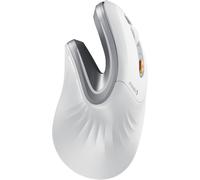 ProtoArc EM11 NL Ergonomic Mouse, Wireless Vertical for Computer Silver Gray