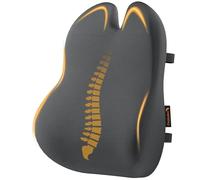 ProtoArc Lumbar Support Cushion - Memory Foam Back Support Cushion with Ergonomic Butterfly Design - Back Support for Office Chair, Car Seat, Double Adjustable Straps and Breathable Mesh Cover - Grey