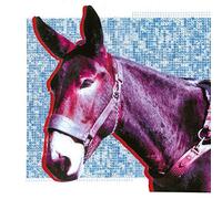 Protomartyr – Ultimate Success Today – CD – Domino Records