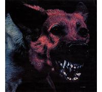 Protomartyr - Under Color Of Official Right [VINYL]