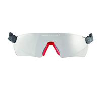 Protos Integrated Safety Glasses