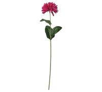 ProTuning SMYCKA Artificial flower, in/outdoor Chrysanthemums/dark pink, 55 cm