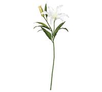 ProTuning SMYCKA Artificial flower, Lily/white, 85 cm