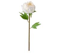 ProTuning SMYCKA Artificial flower, Peony/white, 30 cm