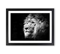 Proud Lion 2 Modern CB Framed Wall Art Print, Ready to Hang Picture for Living Room Bedroom Home Office Décor, Black A4 (34 x 25 cm)