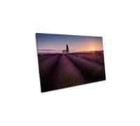 Provence Lavender France Farmhouse Canvas Wall Art Picture Print CanvasGeeks Pink W36 inch x H24 inch x D40mm