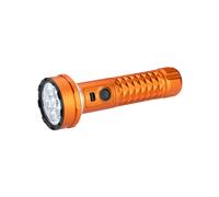 Prowess Multifunctional torch with dual-direction illumination