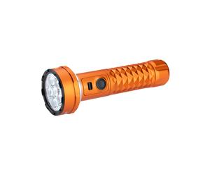 Prowess Multifunctional torch with dual-direction illumination