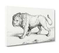Prowling Lion by Jean Bernard Canvas Print | Gallery Wrapped 30mm Frame Wall Art | 30x20 inches | Ready to Hang | Modern Animals Picture | Living Room Bedroom Lounge Office