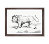 Prowling Lion by Jean Bernard Framed Print | A2 Walnut Framed Wall Art | Ready to Hang | Modern Animal Picture | Living Room Bedroom Lounge Office
