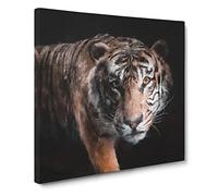 Prowling Tiger Canvas Print | Gallery Wrapped 30mm Frame Wall Art | 14x14 inches | Ready to Hang | Modern Animals Picture | Living Room Bedroom Lounge Office