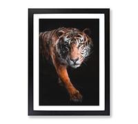 Prowling Tiger Painting Modern Framed Print | A4 Black Framed Wall Art | Ready to Hang | Modern Animal Picture | Living Room Bedroom Lounge Office
