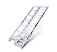 Proworks Dual Folding Ladder Ramp