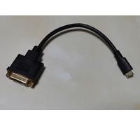 ProXtend Adapter Mini-HDMI (male) to