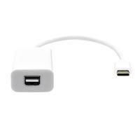 ProXtend USB-C to Mini DP 20cm white