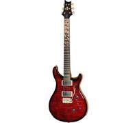 PRS Birds Of A Feather Custom 24 B