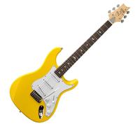 PRS SE Silver Sky Dandy Lion