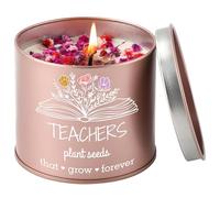 PRSTENLY Christmas Teacher Gifts for Women Men, Thank You Teacher Scented Candle, Nursery Maths English Teachers Day Gifts Graduation End of The Year Christmas Birthday Gift Plant Seeds