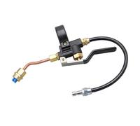 Prterver Carpet Extractor High Temperature Steam Cleaner Cold Water Switch Car Washing Machine Carpet Sofa Extractor for Carpet Steam Cleaner