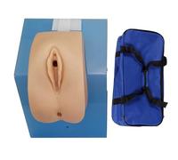 PRUJOY Catheter Practice Model Anatomy Model for Catheter Urinary Catheterization Model Genital Model with Storage Bag Suitable for Medical Education (Female)