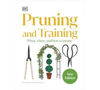 Pruning and Training: What, When, and How to Prune
