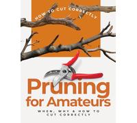 Pruning for Amateurs: When, Why & How to Cut Correctly