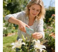 Pruning Pliers Rose Rose Arrangement Trimming Scissors Can Thorns Without Damaging The 41