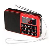 PRUNUS J-429SW Portable Radios Small AM/FM/SW, Rechargeable Radio | Battery Operated,with AUX/SD/TF/MP3 Speaker,Large Button and Large Display Stores Stations Automatically. (NO DAB)
