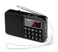PRUNUS J-429SW Portable Radios Small AM/FM/SW, Rechargeable Radio | Battery Operated,with AUX/SD/TF/MP3 Speaker,Large Button and Large Display Stores Stations Automatically. (NO DAB)