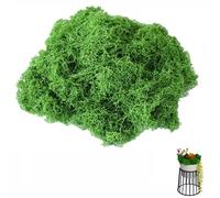 PRVCFZ 130g Fake Moss, Artificial Moss, Artificial Moss for Indoor Plant Pots, for Craft Fake Green Plants for Garden Office Christmas New Year Home Decoration, aster Decorations, Landscaping