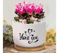 Ps I Love You Flower Plant Pot with Quotes Flower Pots,Custom Succulent Pot, Personalized Small Flower Pot For Nana Mom Grandma