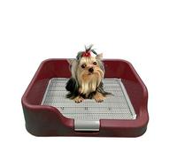 PS KOREA] Indoor Dog Potty Tray - with Protection Wall Every Side for No Leak, Spill, Accident - Keep Paws Dry and Floors Clean (Wine)