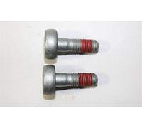 PSA Genuine Right Hand Coarse Hex Caliper Screw Set