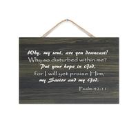 Psalm 42:11 Why,My Soul,Are You Downcast Why So Disturbed within Me Put Your Hope in God Wooden Sign 8x12in Modern Wall Decor Wooden Art Signs Quote Rustic Wall Hanging Wood Sign Craft Plaque